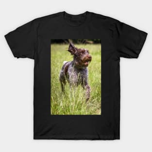 Running in a meadow Spinone T-Shirt